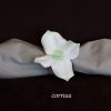 rond de serviette, fleur, cornus, cuir, cuir à tannage végétal, artisanat, l'Âge du Cuir, France